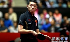 九游娱乐官方-奥地利乒乓球队绝杀中国乒乓球队，许昕送出助攻的简单介绍