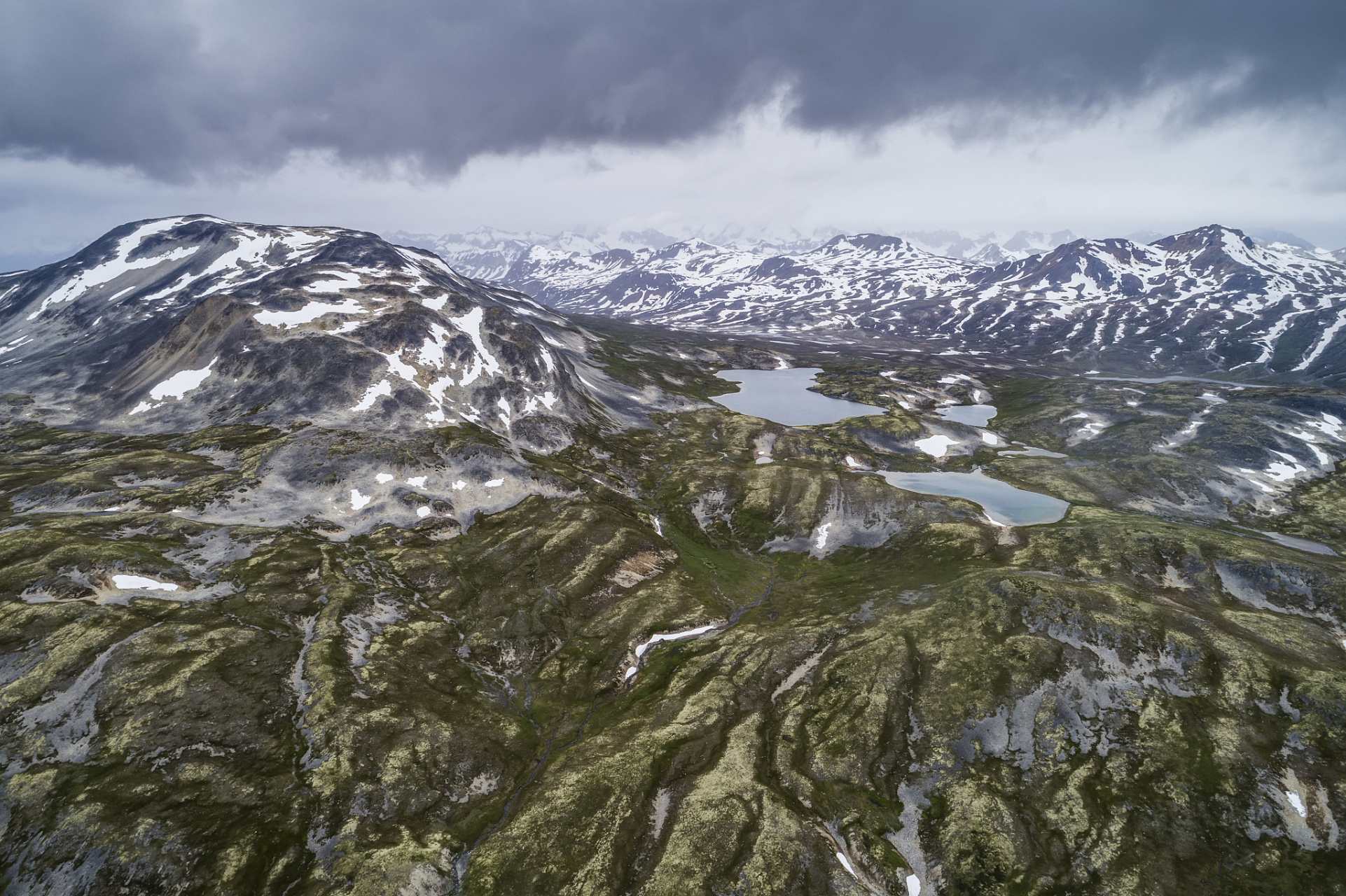 关于阿尔及利亚队三连胜,阿曼队难以回天的信息 关于阿尔及利亚队三连胜,阿曼队难以回天的信息